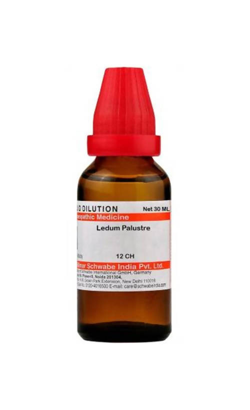 Dr. Willmar Schwabe India Ledum Palustre Dilution | Swadesiicart