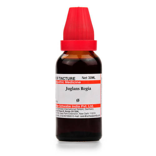 Dr. Willmar Schwabe India Juglans Regia Mother Tincture Q | Swadesiicart