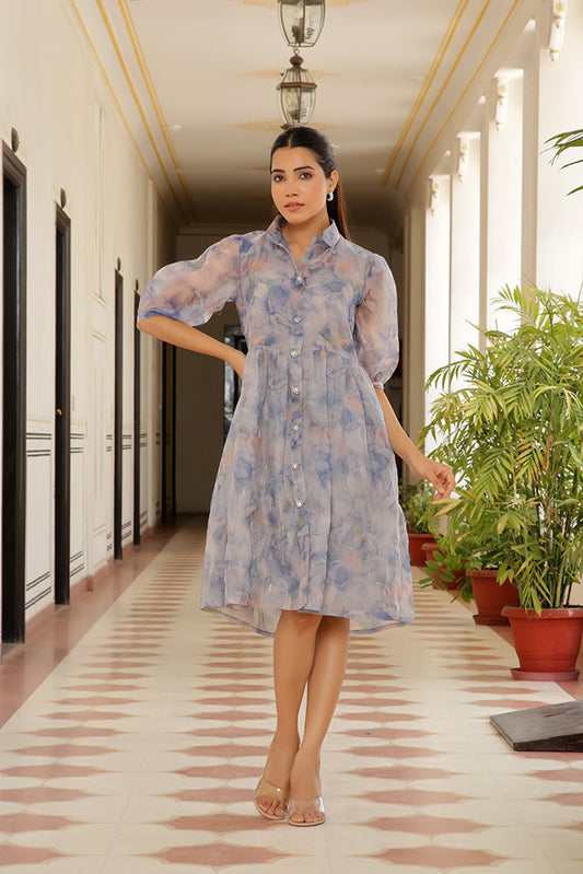 Vaasva Women Sky Blue Organza Marble Printed Dress | Swadesiicart