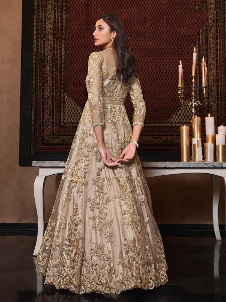Myra Beige Net Embroidery Beautiful Gown | Swadesiicart