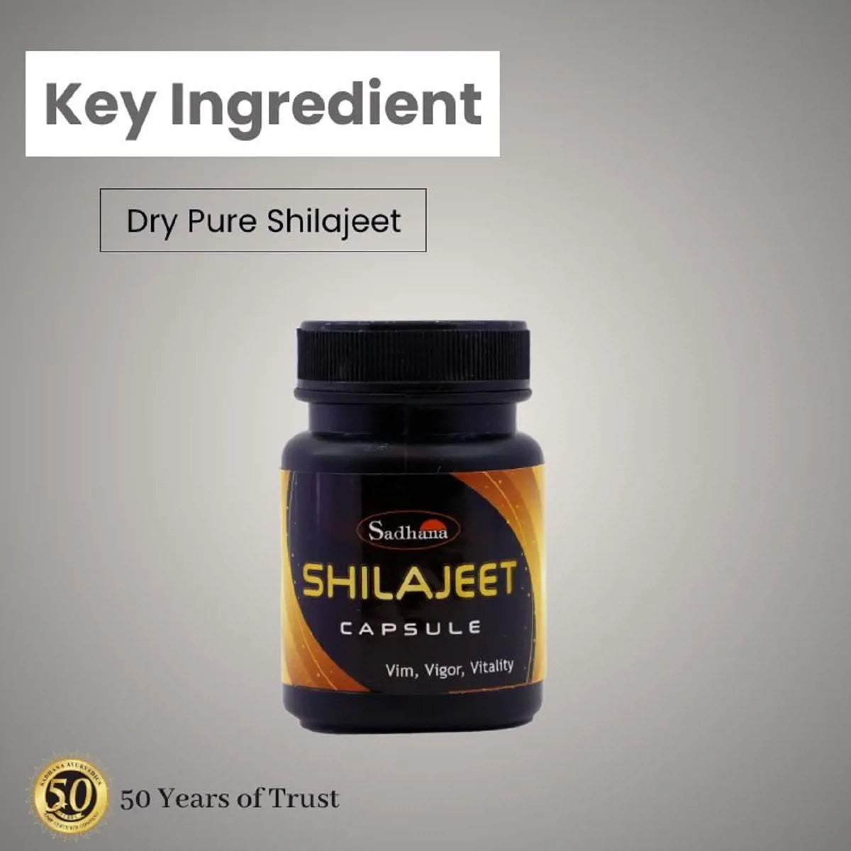 Sadhana Shilajeet Capsules | Swadesiicart