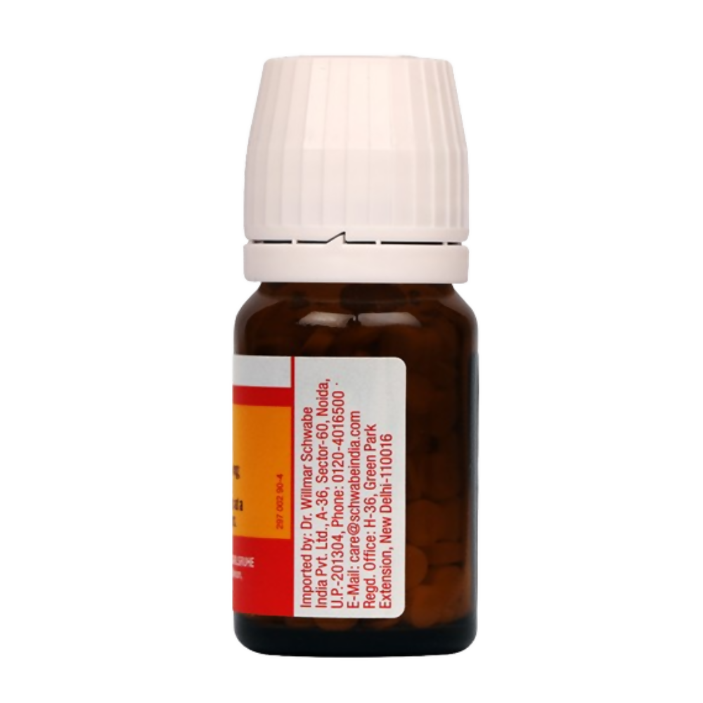 Dr. Willmar Schwabe India Germany Bio-Plasgen 20 Tablets | Swadesiicart