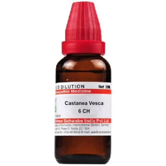 Dr. Willmar Schwabe India Castanea Vesca Dilution | Swadesiicart