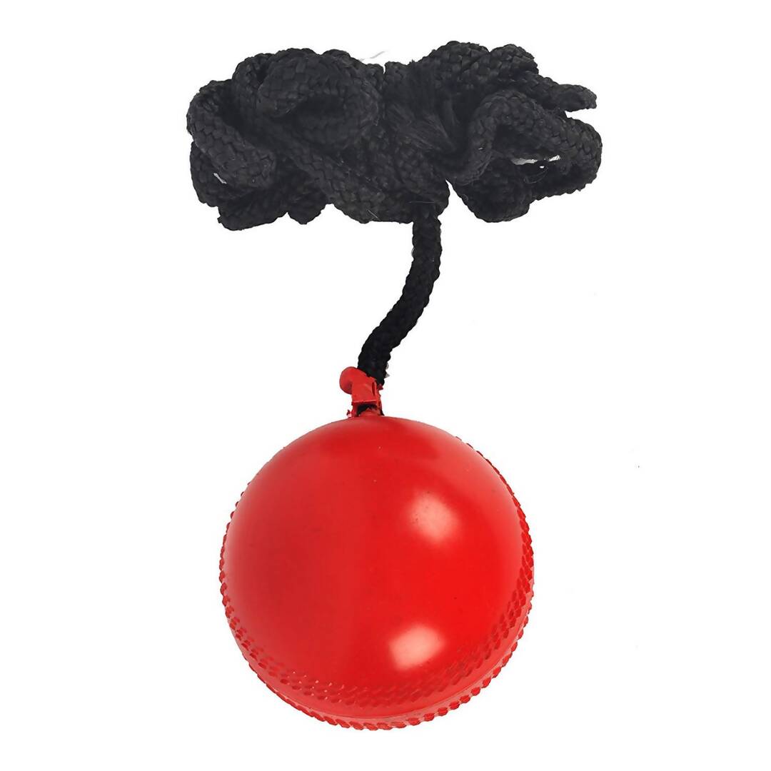 SG Iball Synthetic Hanging Ball - Red - Swadesiicart