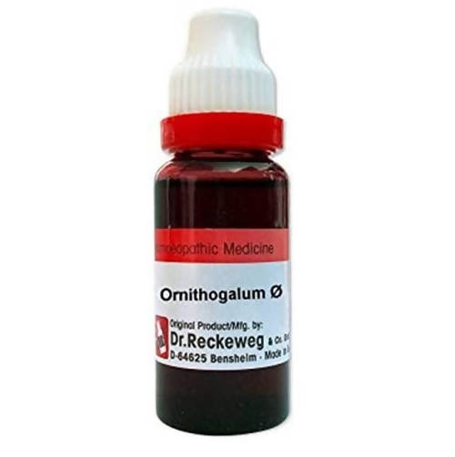 Dr. Reckeweg Ornithogalum Umbellatum Mother Tincture Q | Swadesiicart