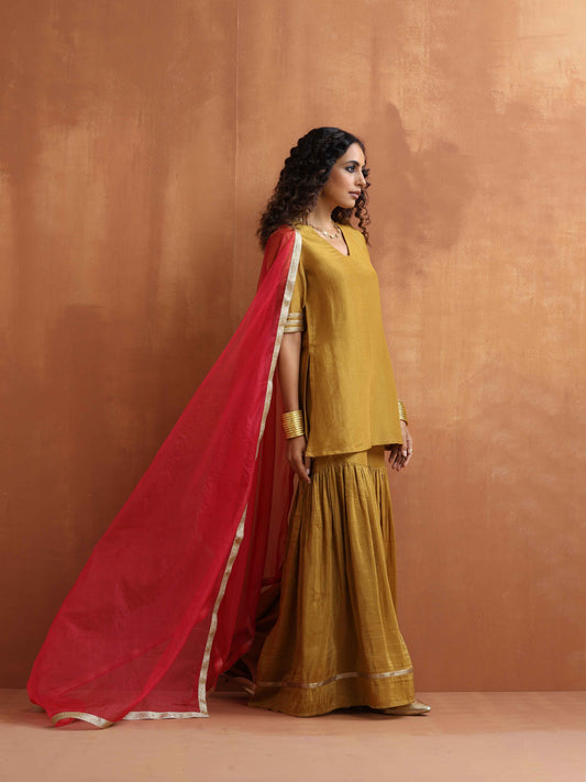 trueBrowns Gold Tissue Sharara Dupatta Set | Swadesiicart