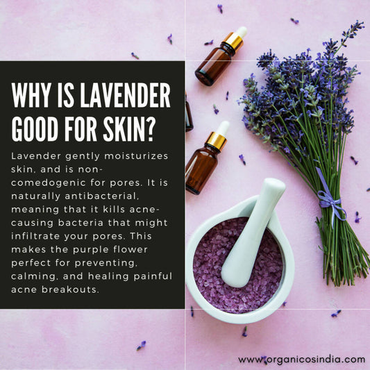 Organicos Lavender Face Cleanser - Swadesiicart