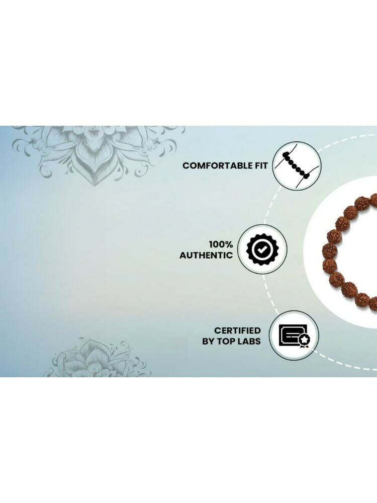 NVR 5 Mukhi Rudraksha Stretchable Bracelet