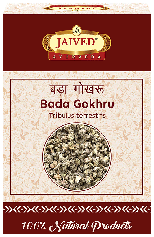 Jaived Ayurveda Bada Gokhru | Swadesiicart