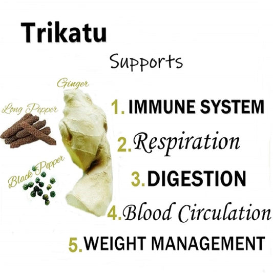 Himalaya Wellness Pure Herbs Trikatu Digestive Wellness - Swadesiicart