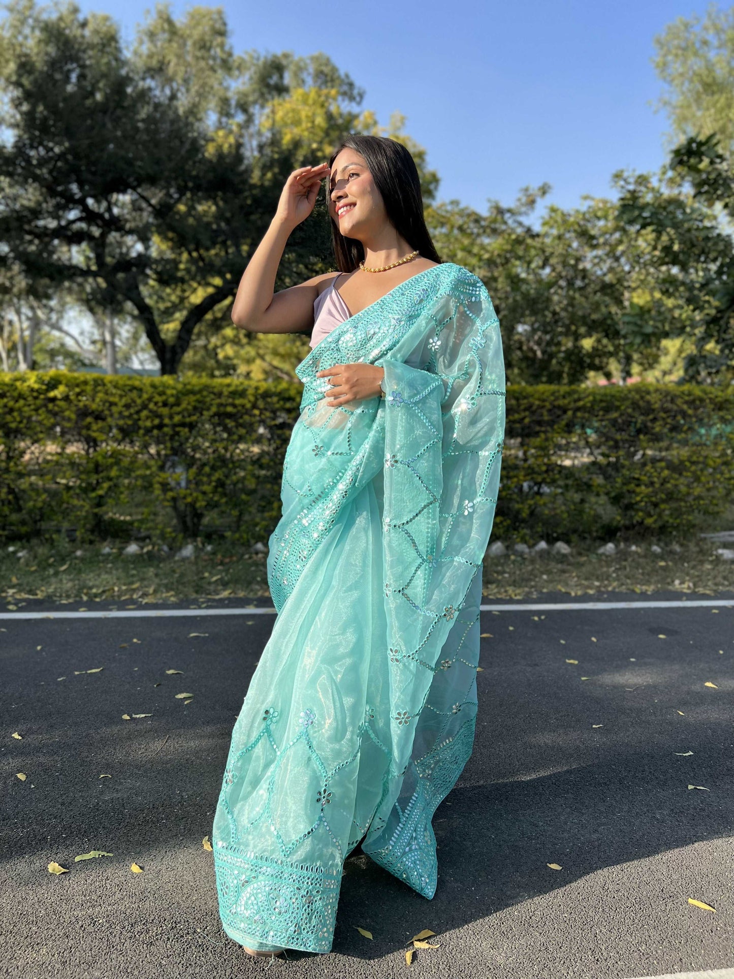 Vamsee Naina Blue Organza Saree - Swadesiicart