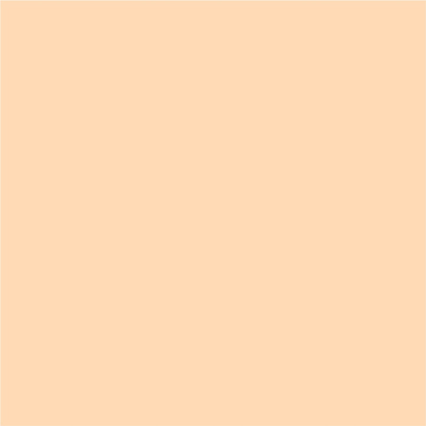 Matt Look Bare Canvas Hydra Foundation - Peach Glow - Swadesiicart