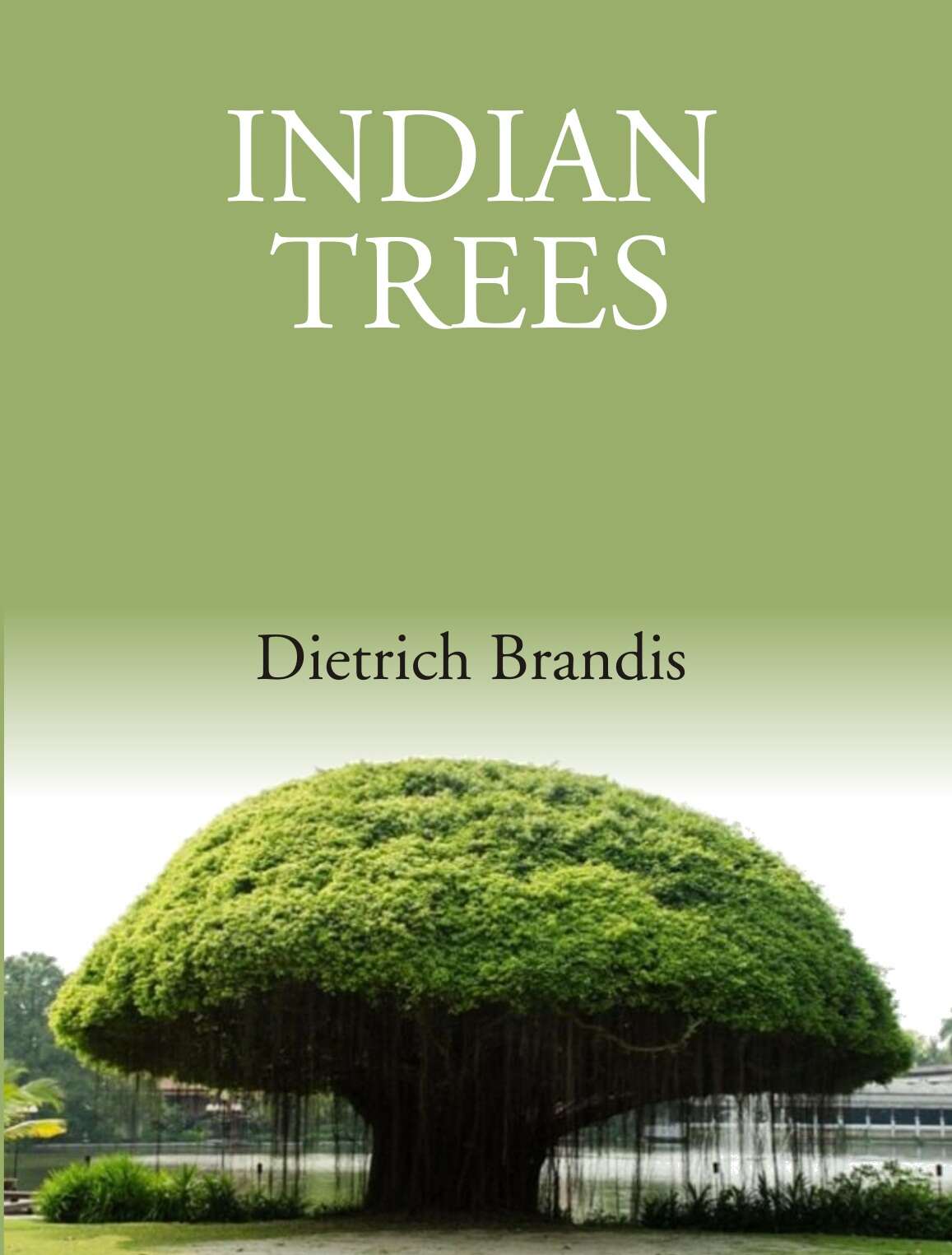 Indian Trees: An Account Of Trees, Shrubs, Woody Climbers, Bamboos And Palms Indigenous Or Commonly - Gyan Books - Swadesiicart