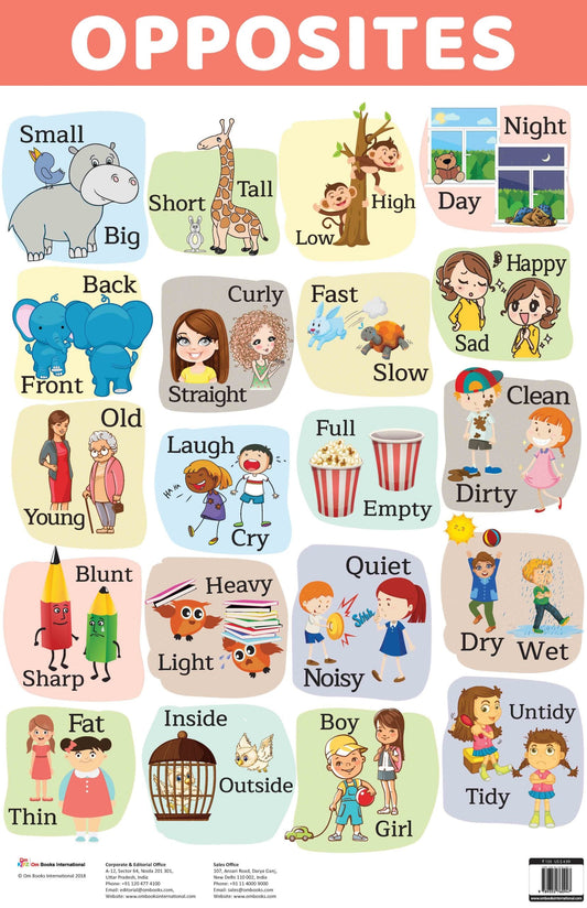 Opposites : Charts - Om Books