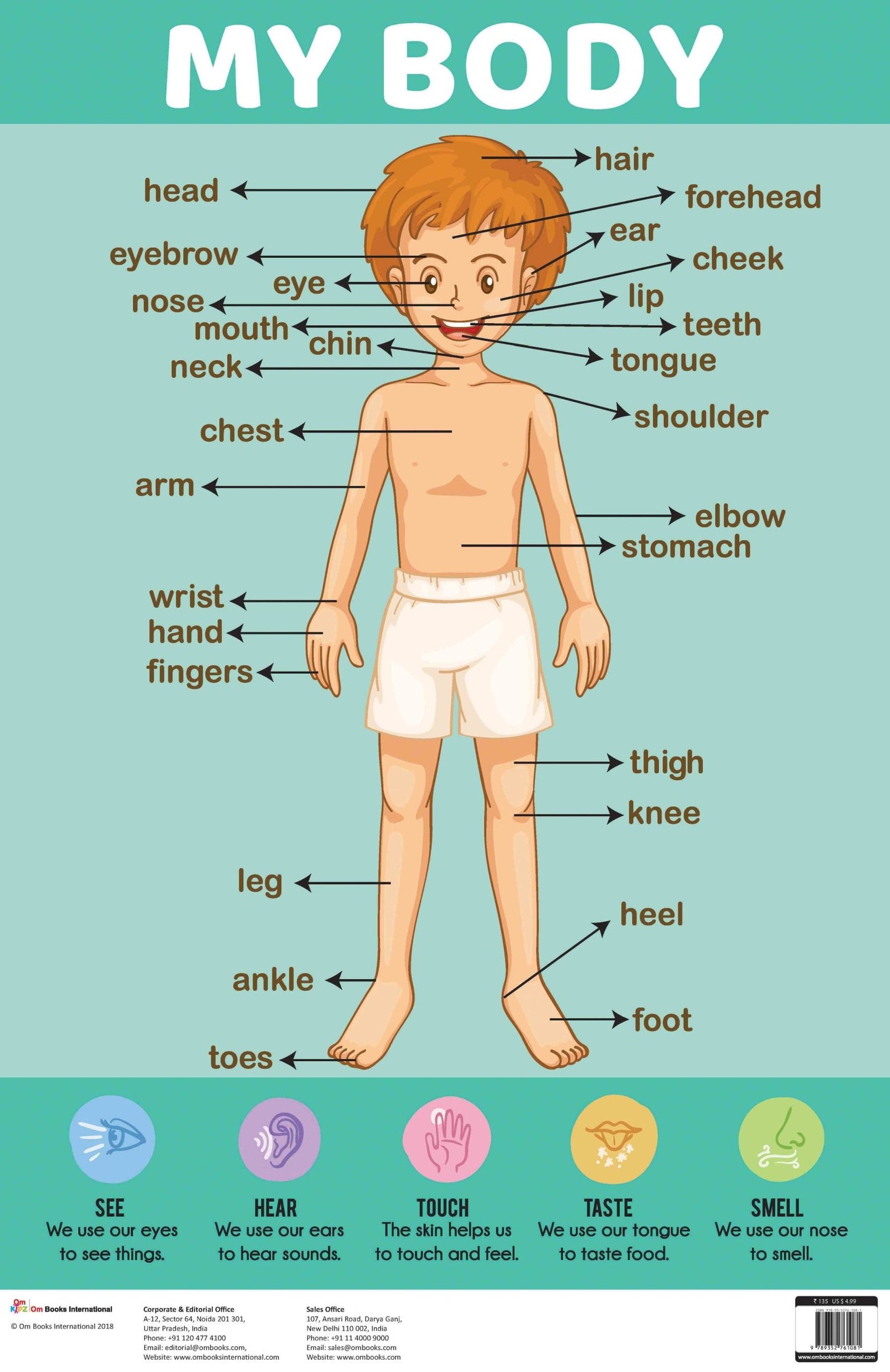 My Body : Charts - Om Books - Swadesiicart