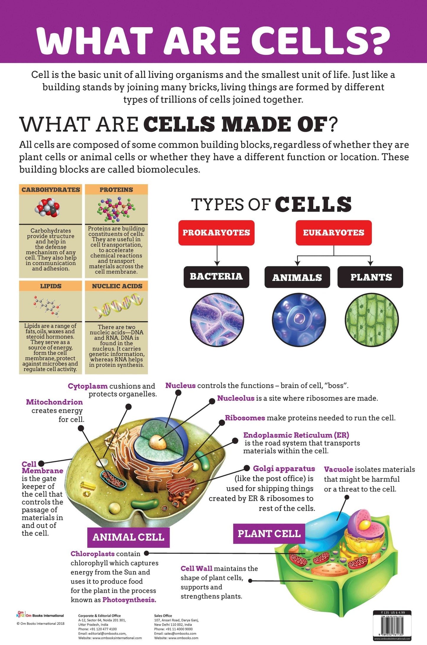 What are Cells : Charts - Om Books - Swadesiicart