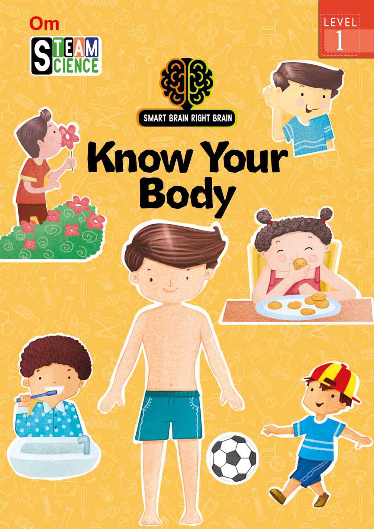 Smart Brain Right Brain Science Level 1 : Know Your Body - Om Books - Swadesiicart
