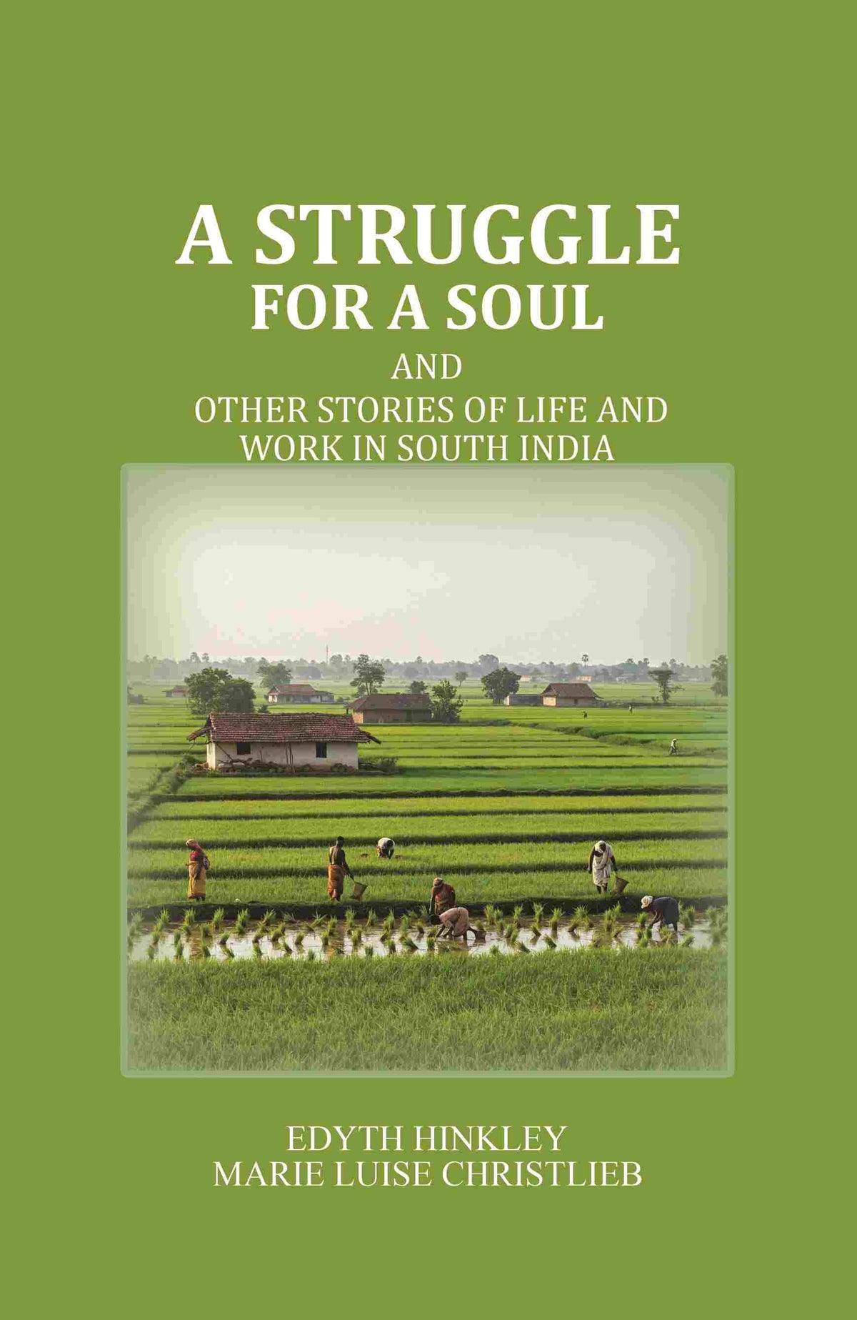 A Struggle for a Soul: And other Stories of Life and Work in South India - Gyan Books