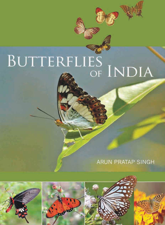 Butterflies of India by Arun Pratap Singh - Om Books