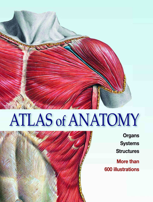 Atlas of Anatomy Organs Systems Structures by Johannes Sobotta - Om Books
