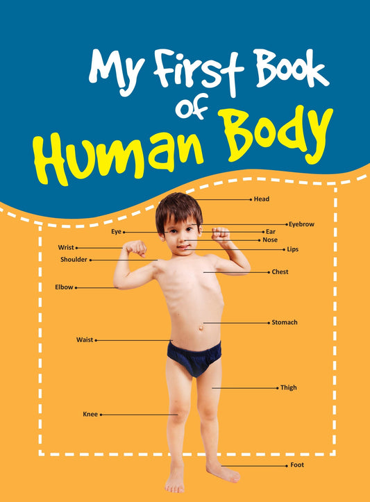 My First Book of Human Body - Om Books