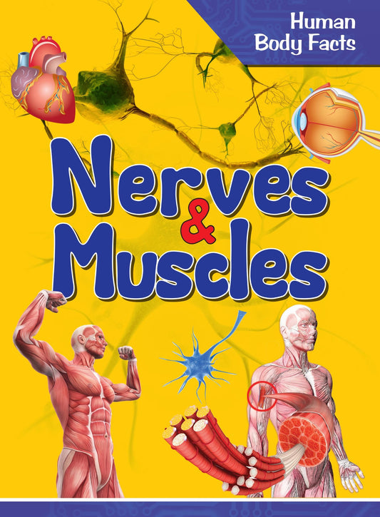 Nerves & Muscles : Human Body Facts - Om Books - Swadesiicart