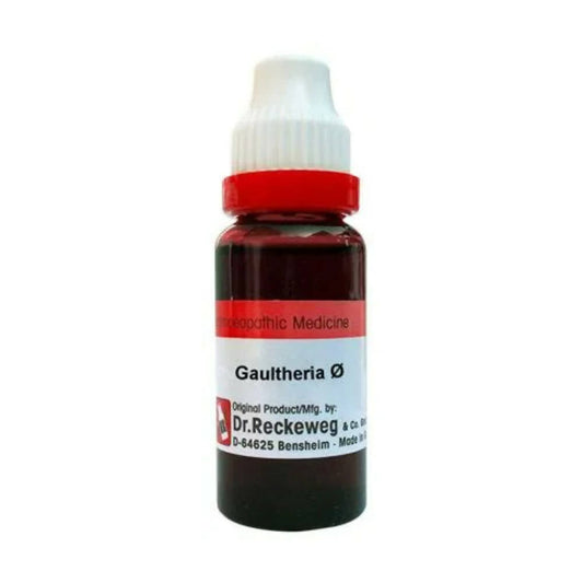 Dr. Reckeweg Gaultheria Mother Tincture Q | Swadesiicart