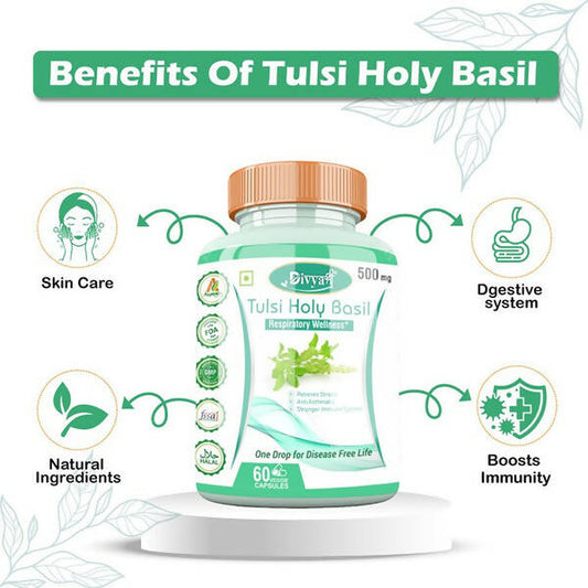 Divya Shree Tulsi Holy Basil Veggie Capsules | Swadesiicart