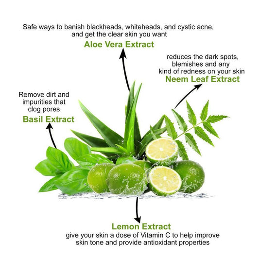 Astaberry Neem & Aloe Face Wash with Lemon & Basil Extracts - Swadesiicart
