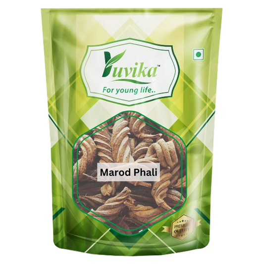 Yuvika Marod Phali - Marori - Helicteres Isora - Avaitini Screw Beans | Swadesiicart