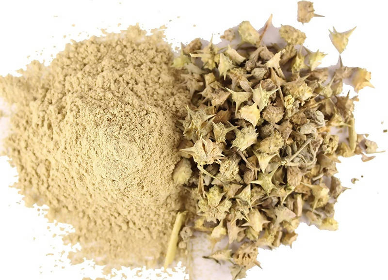 Dark Forest Urine Tonic Range Combo | Swadesiicart