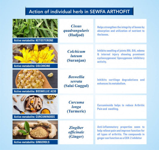 Sewfa Naturals Arthofit Capsules - Swadesiicart