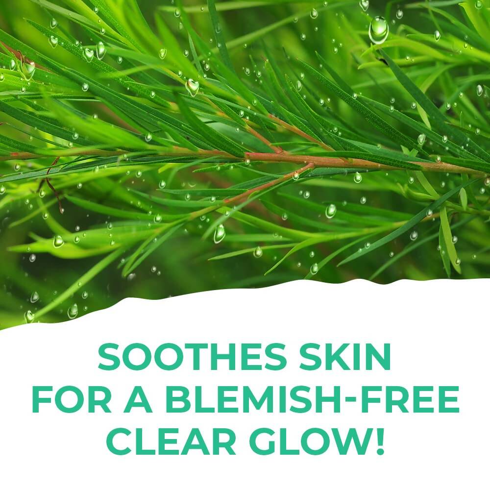 St. Ives Clear Glow Tea Tree Micellar Water - Swadesiicart