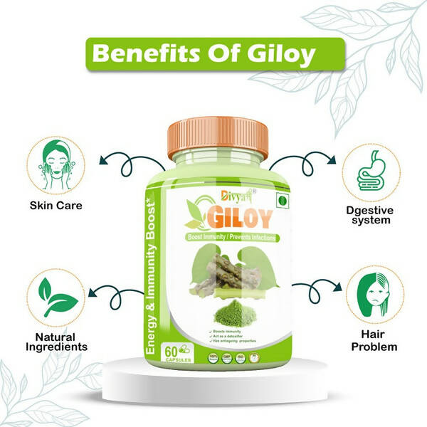 Divya Shree Giloy Capsules | Swadesiicart