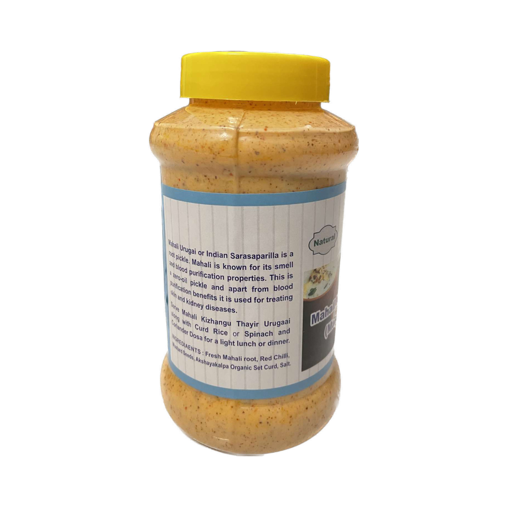 Sundara Mahali Kizhlangu Thayir Urugai ( Mahali Root Curd Pickle ) - Swadesiicart
