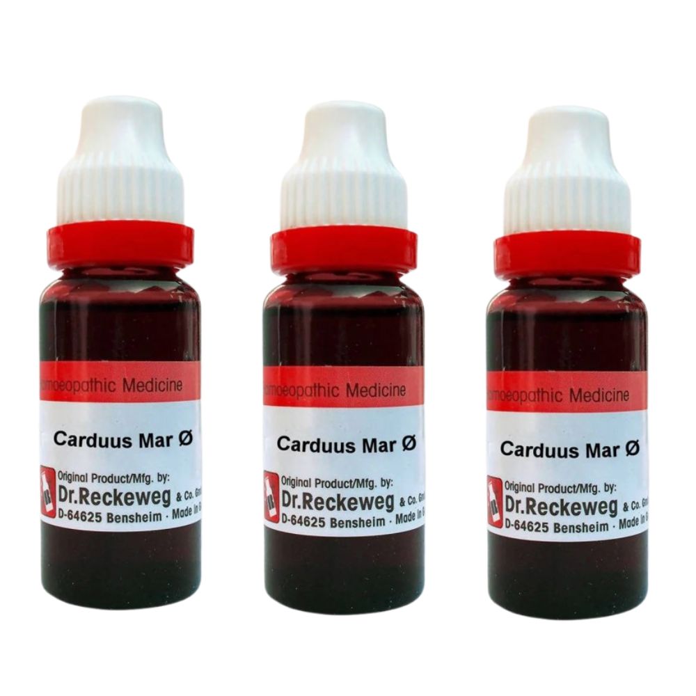 Dr. Reckeweg Carduus Mar Mother Tincture Q | Swadesiicart