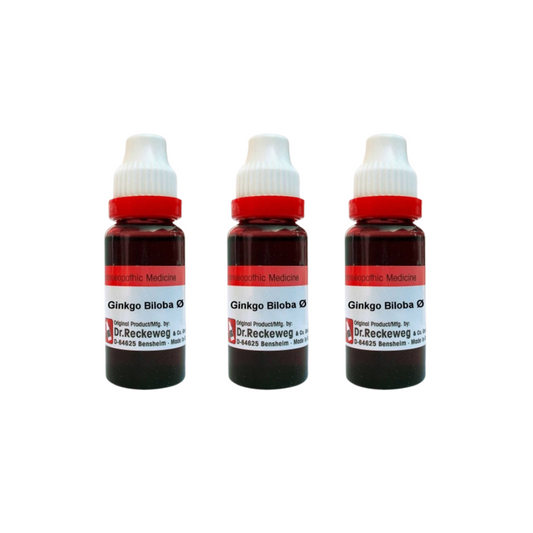 Dr. Reckeweg Ginkgo Biloba Mother Tincture Q | Swadesiicart