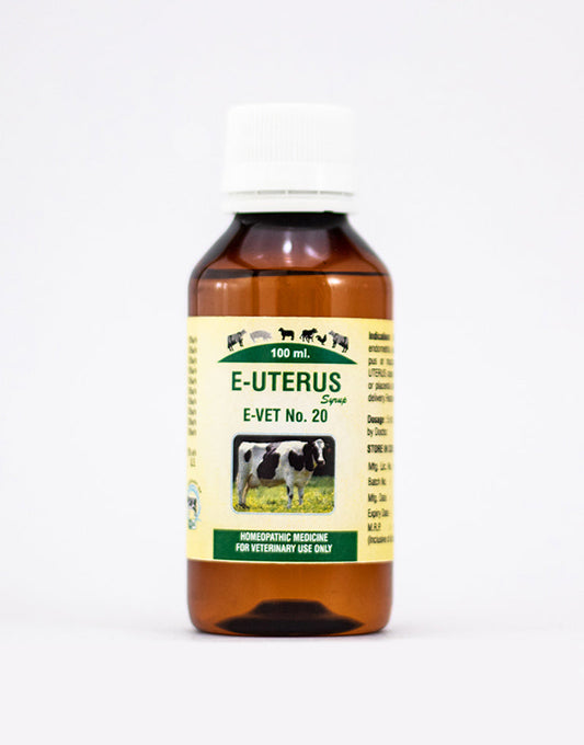 Excel Pharma E-Uterus Syrup - Swadesiicart