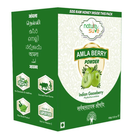 Nature Sure Amla Berry Powder | Swadesiicart