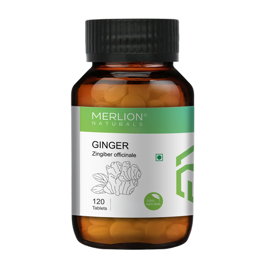 Merlion Naturals Ginger 500mg Tablets