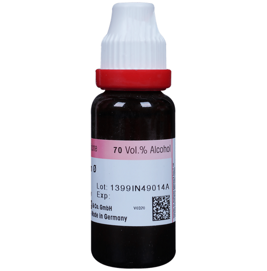 Dr. Reckeweg Allium Sativum Mother Tincture Q