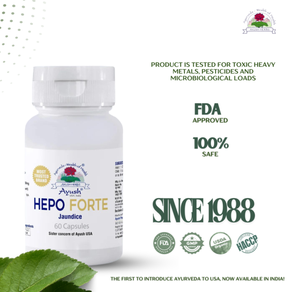Hepo Forte | Liver Support Capsules
