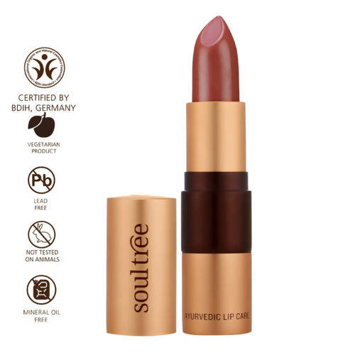 Soultree Ayurvedic Lipstick Massive Mauve 605 - Swadesiicart