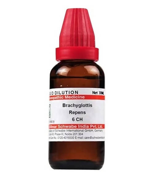 Dr. Willmar Schwabe India Brachyglottis Repens Dilution | Swadesiicart