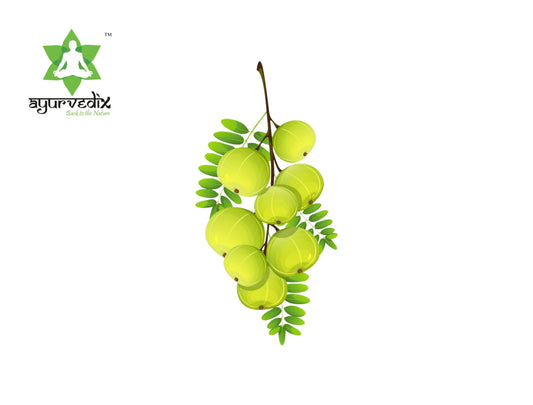 AMLA (1)