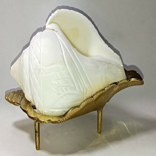 Brass Jal Shankha With Stand | Swadesiicart
