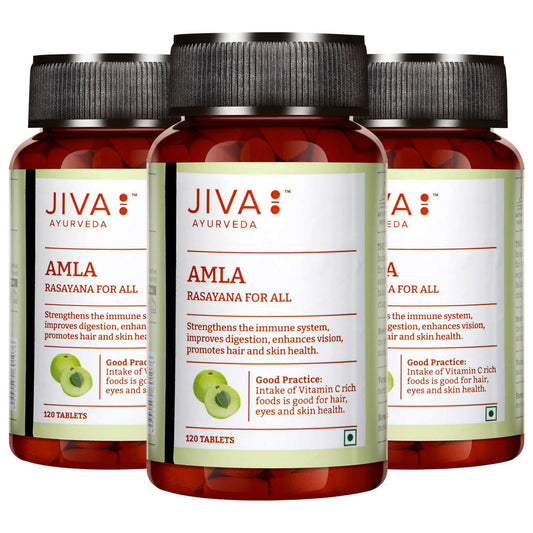 Jiva Ayurveda Amla Tablets - Swadesiicart