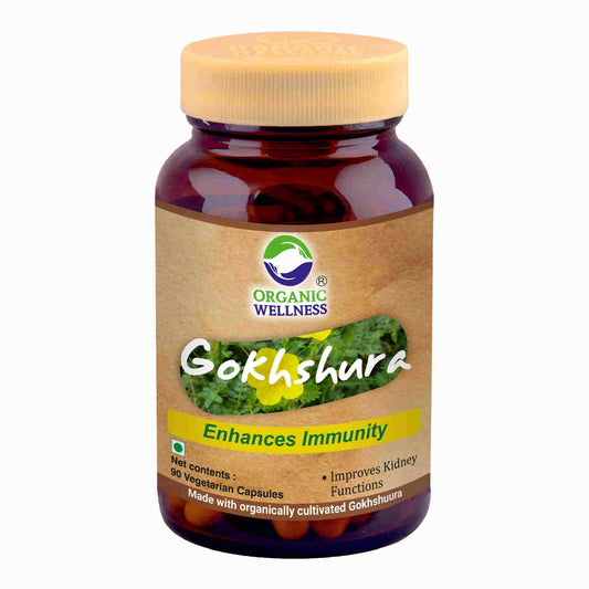 Organic Wellness Gokhshura Vegetarian Capsules - Organic Wellness Products Private Limited