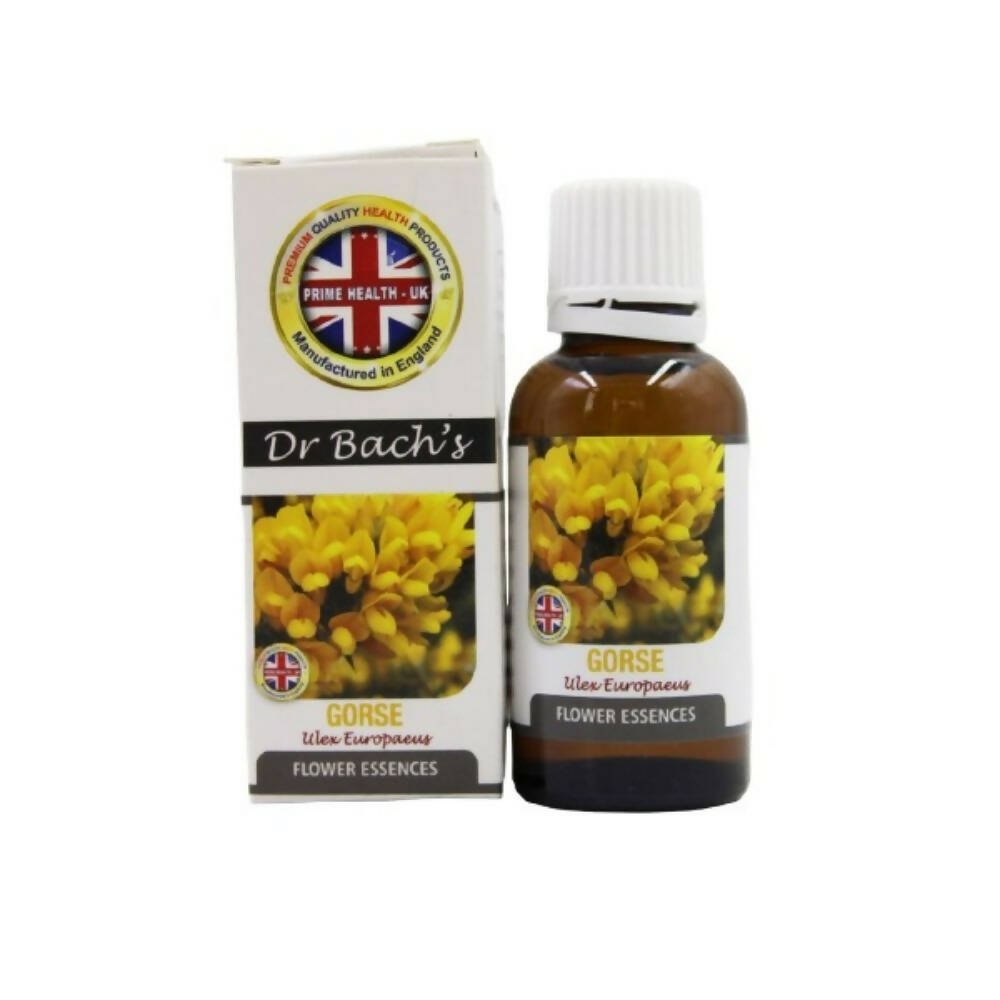 Dr. Bach's Gorse (Pure Essence) Bach Flower | Swadesiicart