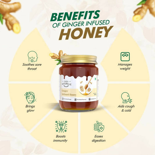 Farm Naturelle Ginger Infused Honey - Swadesiicart